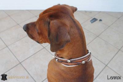 Hundehalsband Leder Braun Lennox- 4 (1)