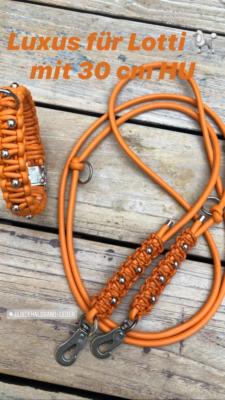 Hundehalsband leder orange leine edelstahl