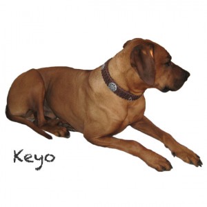 Keyo