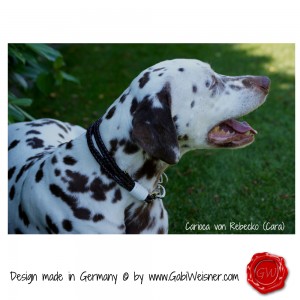 Lederhalsband-4-reihig-Cara-1