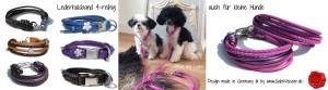 Lederhalsband-4-reihig-auch-für-kleine-Hunde