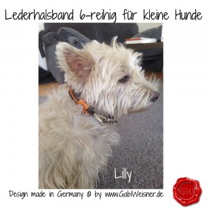 Lederhalsband-6-reihig-für-kleine-Hunde-Lilly-Queeny-2