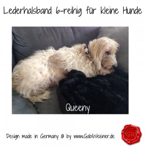 Lederhalsband-6-reihig-für-kleine-Hunde-Lilly-Queeny-3