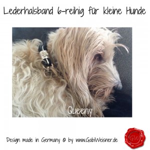 Lederhalsband-6-reihig-für-kleine-Hunde-Lilly-Queeny-5