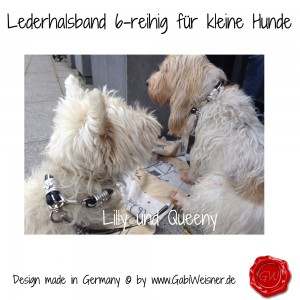 Lederhalsband-6-reihig-für-kleine-Hunde-Lilly-Queeny-6