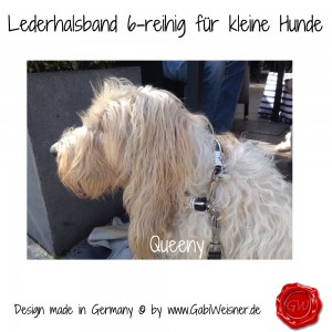 Lederhalsband-6-reihig-für-kleine-Hunde-Lilly-Queeny-7