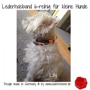 Lederhalsband-6-reihig-für-kleine-Hunde-Lilly-Queeny-8