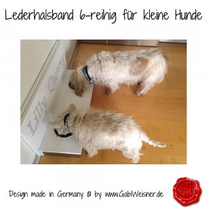 Lederhalsband-6-reihig-für-kleine-Hunde-Lilly-Queeny