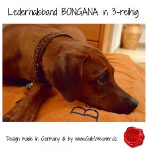 Lederhalsband-BONGANA-12