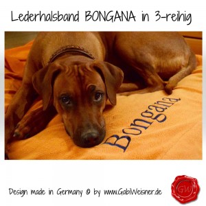 Lederhalsband-BONGANA-3