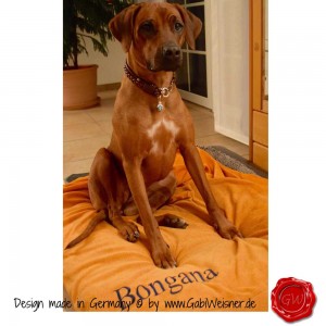 Lederhalsband-BONGANA-4