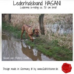 Lederhalsband-HASANI-Grün-20