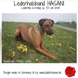 Lederhalsband-HASANI-Grün-22