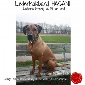 Lederhalsband-HASANI-Grün-23