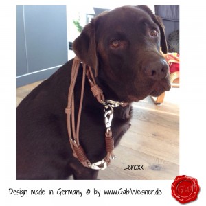 Lederhalsband-Hundehalsband-GabiWeisner-Lenoxx-1