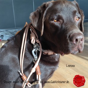 Lederhalsband-Hundehalsband-GabiWeisner-Lenoxx