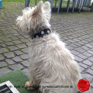 Lederhalsband-Hundehalsband-Leder-geflochten-mit-Blümchen-12