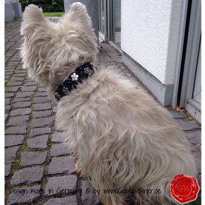 Lederhalsband-Hundehalsband-Leder-geflochten-mit-Blümchen-13
