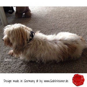 Lederhalsband-Hundehalsband-Leder-geflochten-mit-Blümchen-19