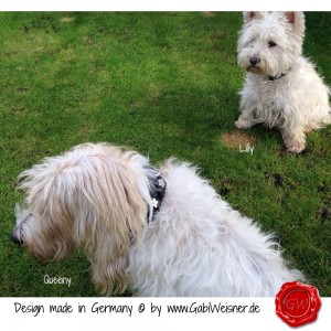 Lederhalsband-Hundehalsband-Leder-geflochten-mit-Blümchen-21