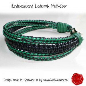 Lederhalsband-Multi-Color-16