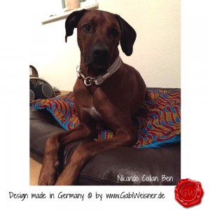 Lederhalsband-ganz-in-weiß-Nikando-Cailan-Ben-3
