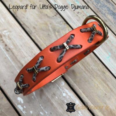 Leopard-für-Utta´s-Dogge-Djumana