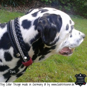 Luxus-Hundehalsband-4     