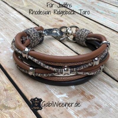 Luxus-Hundehalsband-5-cm-breit-Für-Judiths-Rhodesian-Ridgeback-Taro