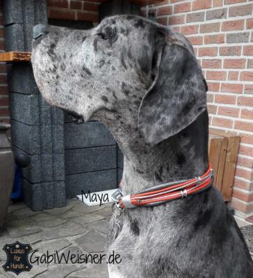 Luxus-Hundehalsband-Maya-5