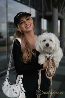 Beirui Hundehalsband & Leine Set Mit Blumenmuster – Personalisierbar, Goldene Schnalle, Für Hündinnen (Gardenie, Größe S)