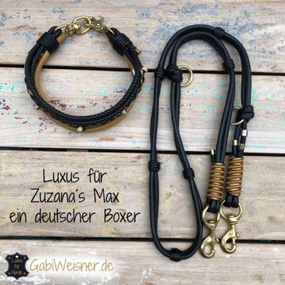 Luxus-für-Zuzana´s-Max-ein-deutscher-Boxer