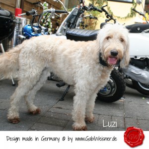 Luzi-Maubach-2