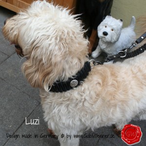 Luzi-Maubach-3