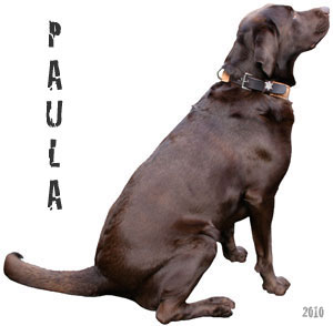 Paula3