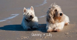 Queeny-+-Lilly