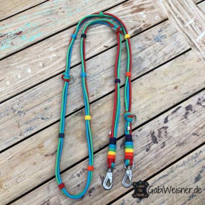 Regenbogen-Hundeleine (1) (1)