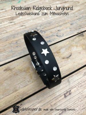 Rhodesian-Ridgeback-Junghund-Lederhalsband-schwarz