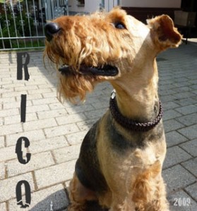 Rico-Limburg