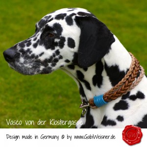 Rochen-Krokodil-Echsen-Lederprägung-7