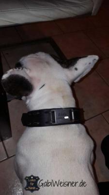 Unser-Basic-Halsband-mit-Name