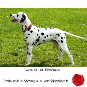 Vanoc-von-der-Klostergasse