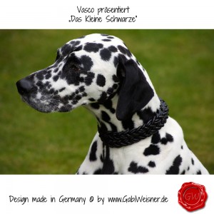 Vasco-präsentiert-„Das-Kleine-Schwarze”-2