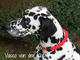 Vasco-von-der-Klostergasse-Hundehalsband-rot      