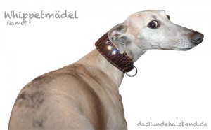 WHIPPET