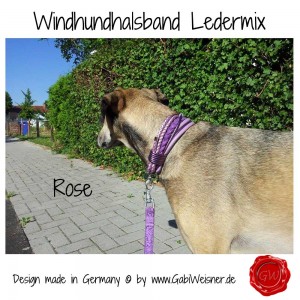 Windhundhalsband-Ledermix-6-cm-breit-Rose-1         