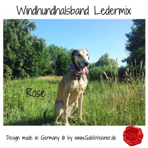 Windhundhalsband-Ledermix-6-cm-breit-Rose-2         