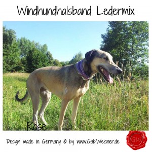 Windhundhalsband-Ledermix-6-cm-breit-Rose-4          