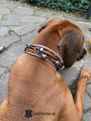 Zugstopp-Hundehalsband-Leder-braun-SKULL-Ohr-Tunnel-Judy
