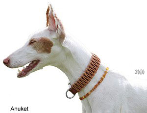anuket-1